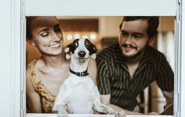 Pet Supplies